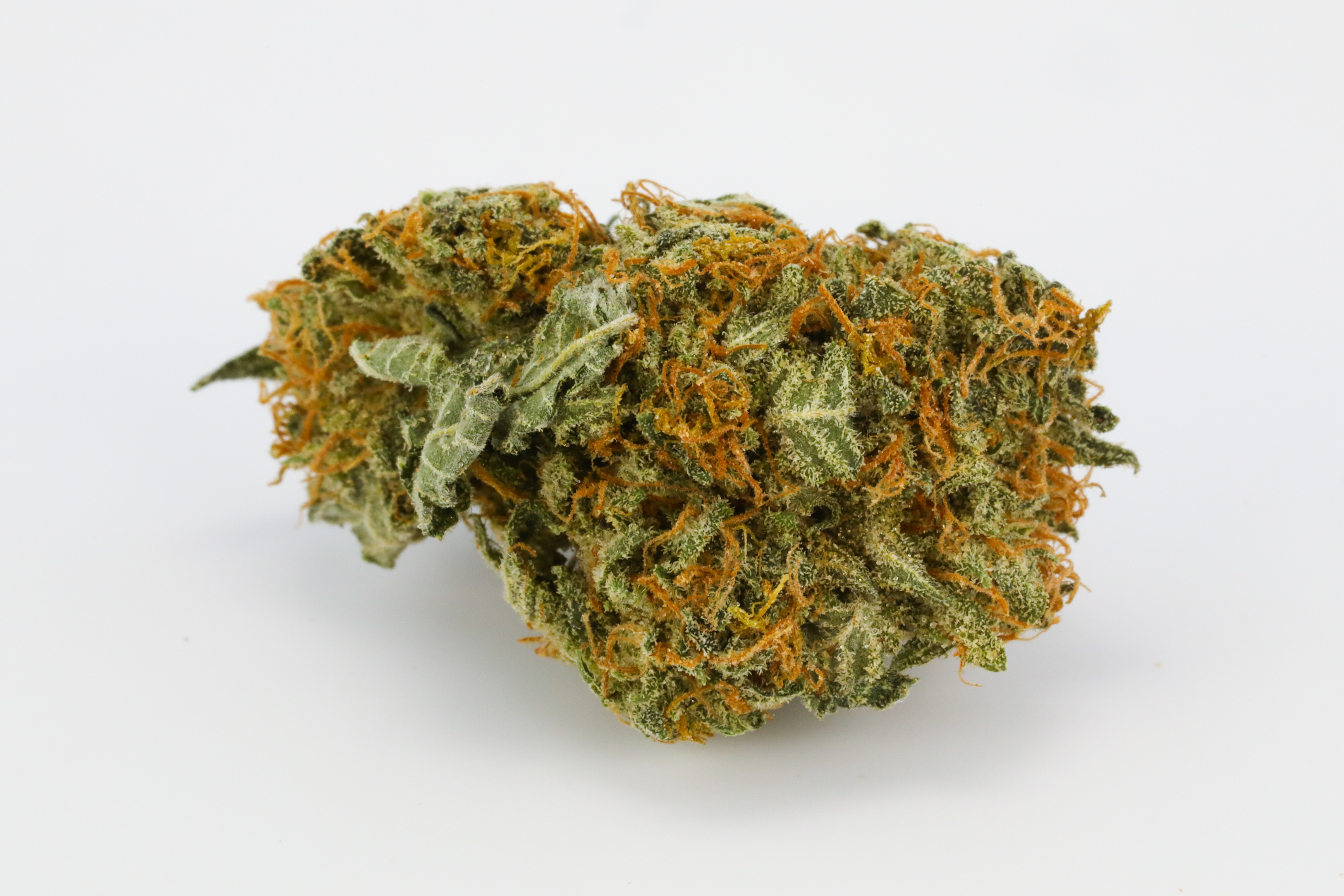 Possibly one of the best weed strains period, this colorful bud has... 