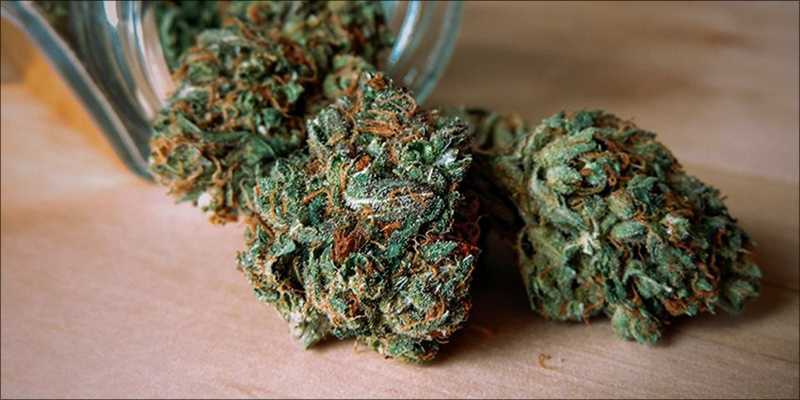 Cannabis Industry Responds 3 photo Cannabis Industry Responds 3 Cannabis Industry Responds To DEAs New Drug Code For CBD Extract