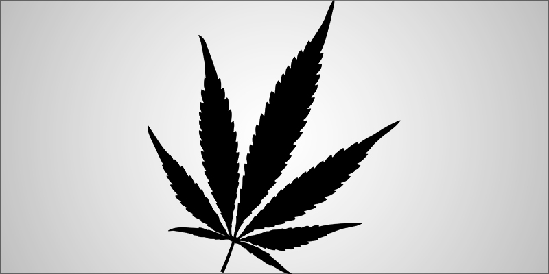 Cannabis Is It 5 photo Cannabis Is It 5 Should We Think Of Cannabis As A Drug, Or A Missing Nutrient?