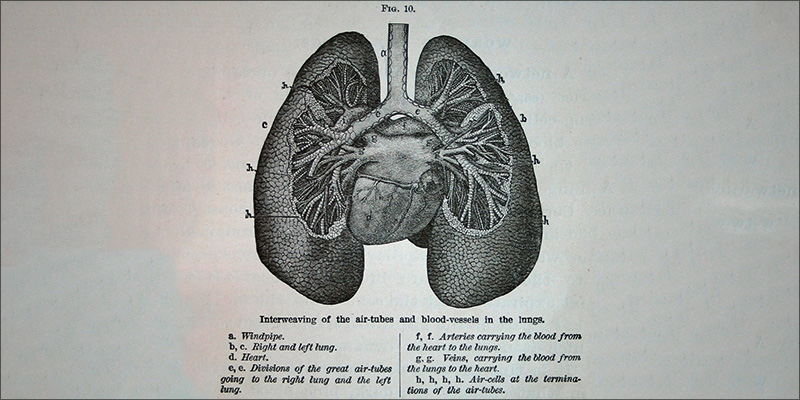 5 Things You 4 2 photo 5 Things You 4 2 5 Surprising Things You Didn’t Know About Cannabis And Cancer