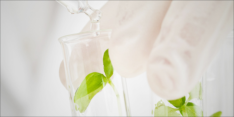AXIM 2 photo AXIM 2 AXIM® Biotech Enters Groundbreaking Clinical Trial Of CBD Gum And IBS