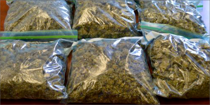 Free Weed When You Sandwich Bags For 325