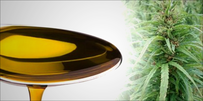 DEA Slapped In 3 American Epilepsy Society Just Confirmed CBD Stops Epileptic Seizures