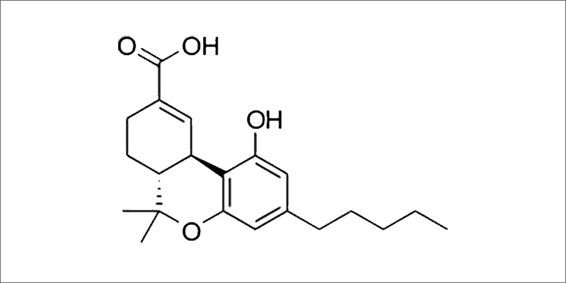 THC COOH Are Hair Follicle Tests Accurate For Detecting Cannabis Consumption?