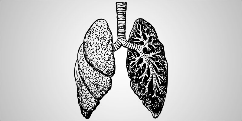 What Does Smoking 3 1 What Exactly Does Smoking Weed Do To Your Body?