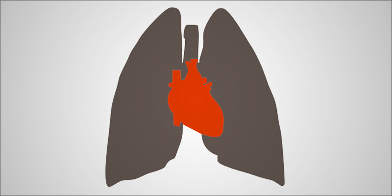 What Does Weed 1 1 What Does Smoking Weed Do To Your Lungs?