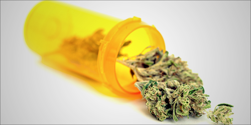 15 Must Read 13 15 Must Read Cannabis Books