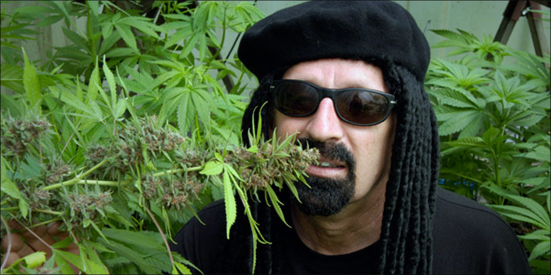 15 Must Read 9 15 Must Read Cannabis Books
