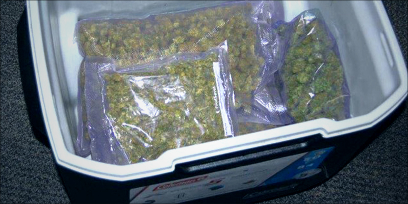 Marijuana Filled Cooler 1 Someone Donated A Weed Filled Cooler Worth $24K To Goodwill