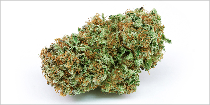 10 Best CBD 2 10 High CBD Strains That Will Help Calm Your Anxiety