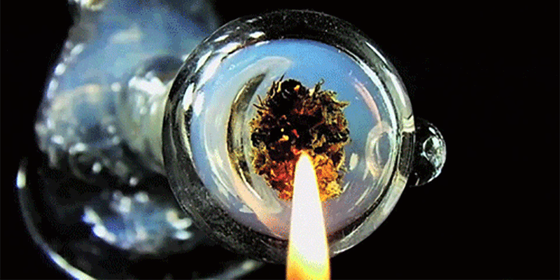 10 Thoughts You 10 10 Thoughts Youve Definitely Had When Youre Dankrupt