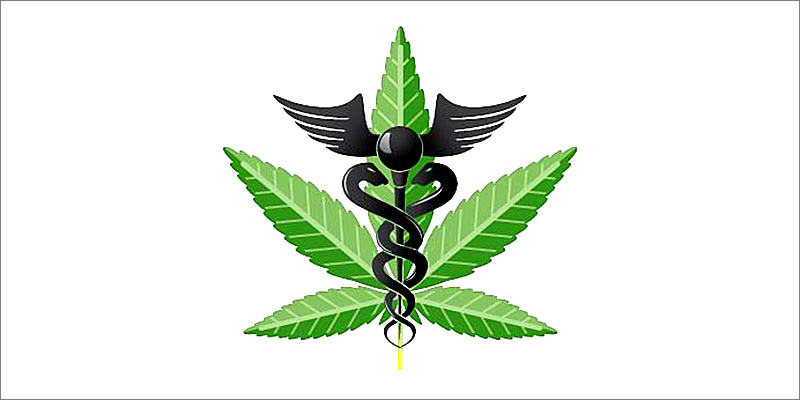 7 Cool Facts 1 7 Cool Facts About Cannabis And The Endocannabinoid System