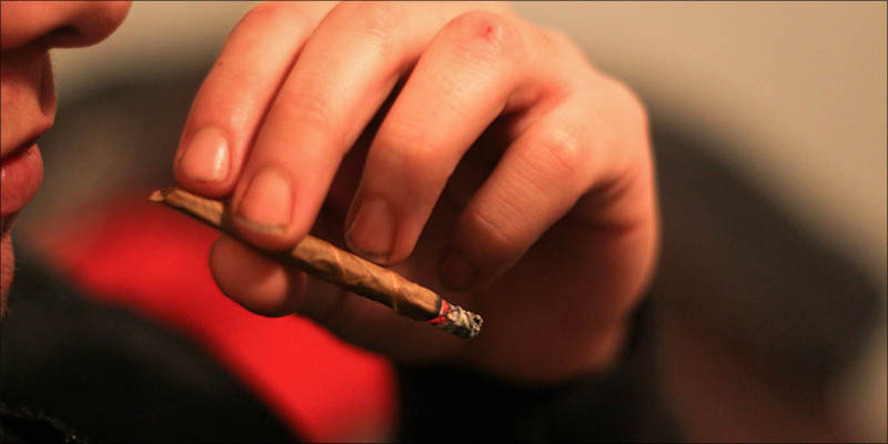 Does Smoking Cannabis 5 UN Just Called For Worldwide Drug Decriminalization
