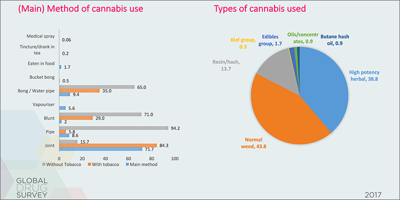 surevey The Global Drugs Survey Reveals How The World Gets Stoned