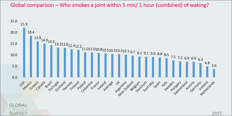 survey2 The Global Drugs Survey Reveals How The World Gets Stoned