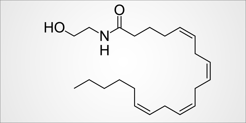Anandamide 1 Anandamide (AEA): The Bliss Molecule Is The Human Version Of THC