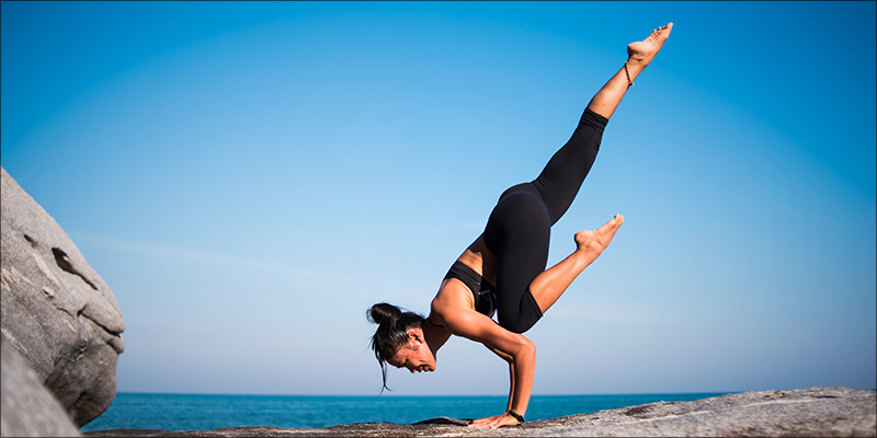 Anandamide 4 Anandamide (AEA): The Bliss Molecule Is The Human Version Of THC