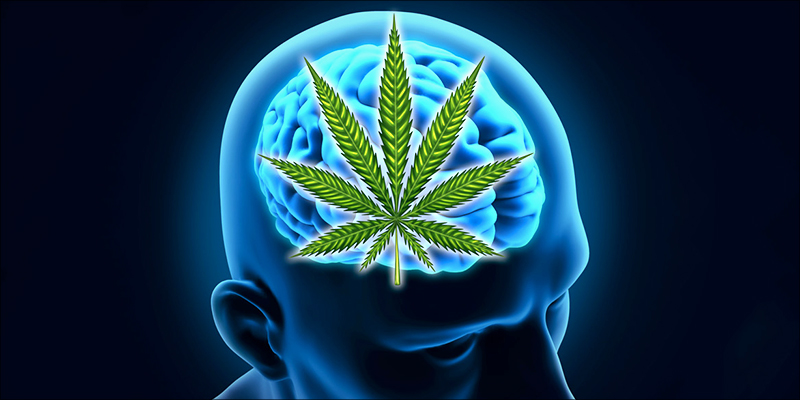 Is It Really 2 Is It Harmful To Smoke Weed Daily?