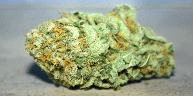 The CBD Experience 1 Understanding The Full CBD Experience: Flowers, Oils And Concentrates