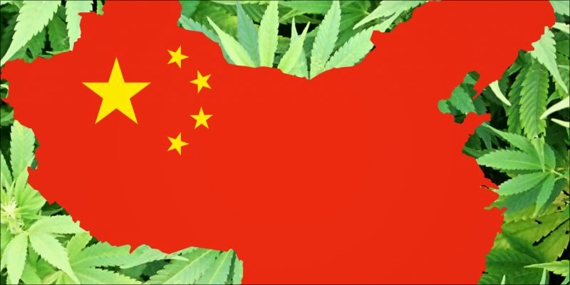 China Has Quietly 3 China Has Quietly Grown Into A Cannabis Superpower