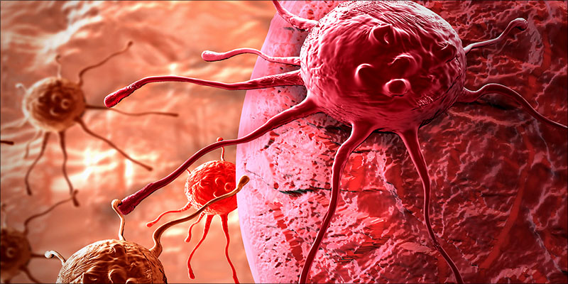 Over 100 Peer 4 Over 100 Peer Reviewed Studies Confirm Cannabis Kills Cancer Cells