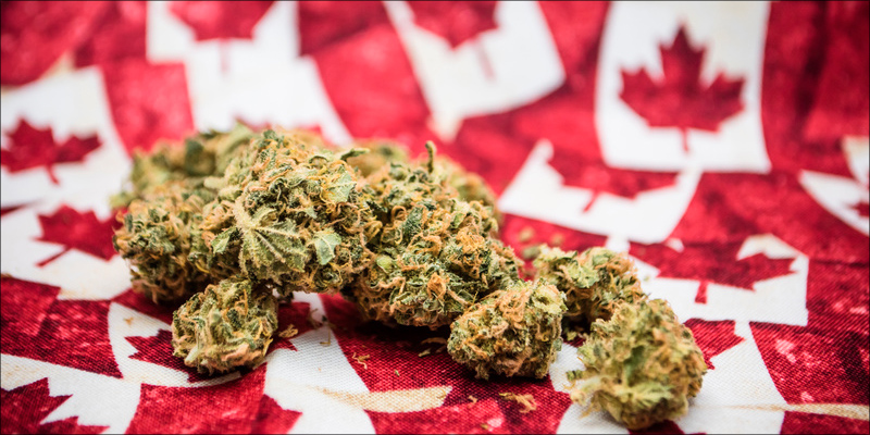 Yet Another Study 1 New Study Confirms Cannabis Is An Effective Treatment For Chronic Pain