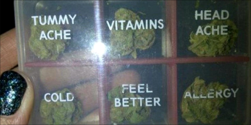 Yet Another Study 2 New Study Confirms Cannabis Is An Effective Treatment For Chronic Pain