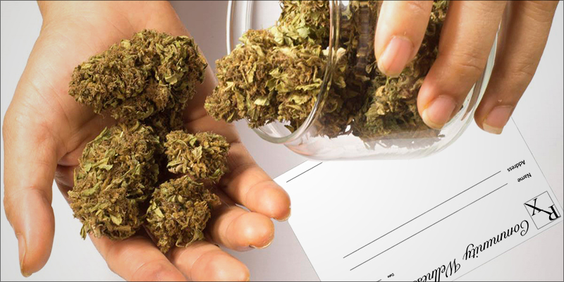 10 Reasons Why 8 10 Reasons Why Weed Is So Much Better Than Booze