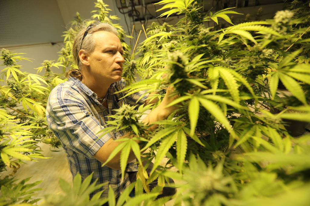 GettyImages 816369142 What Canadian smokers will do about the predicted weed shortage in 2018