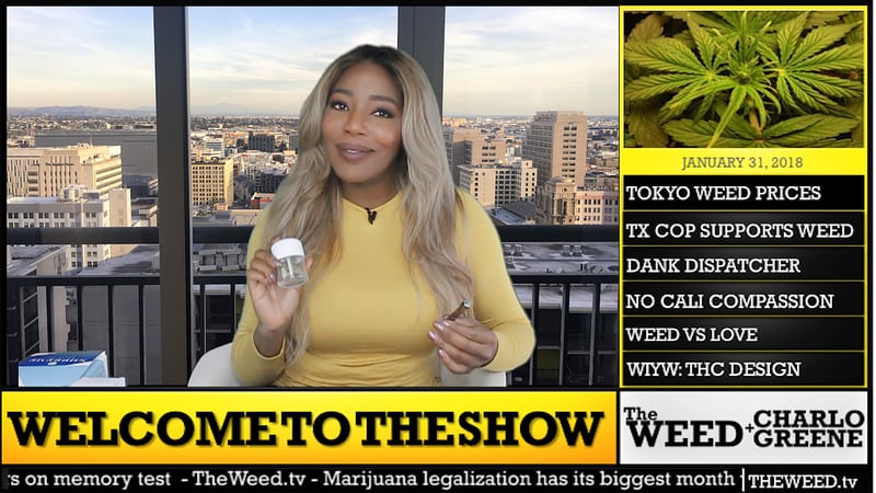 The Weed Show We talked with the news anchor who quit on live TV to fight for legal pot