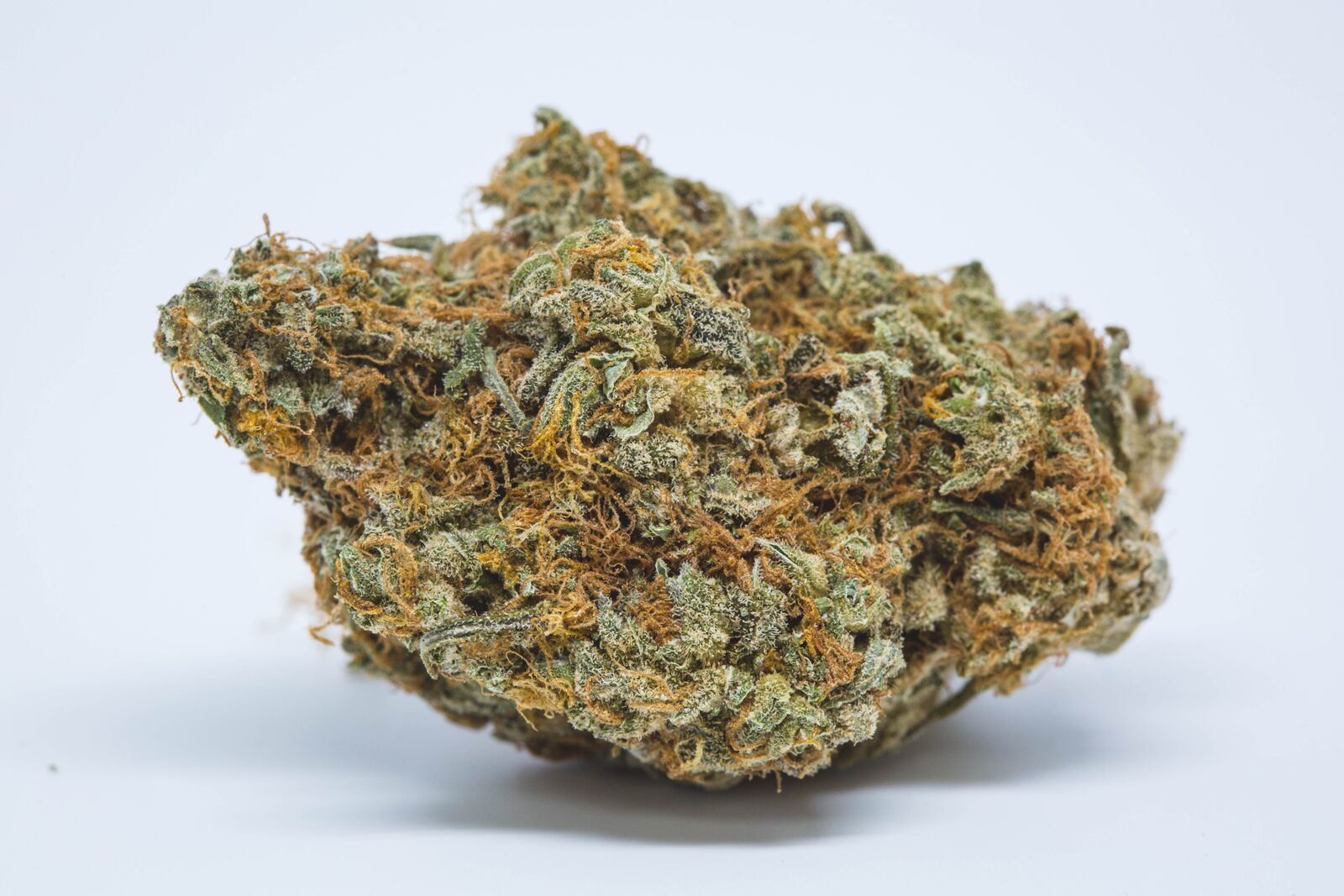 Berry Bomb Strain of Marijuana Weed Cannabis Herb