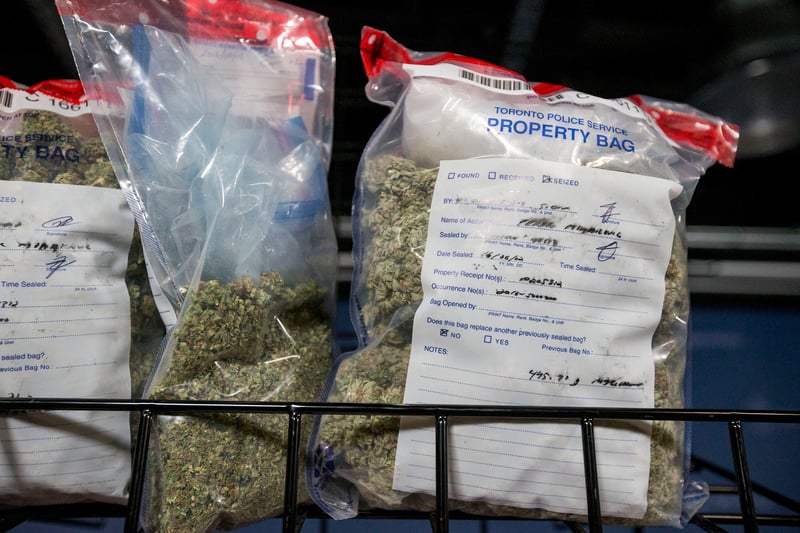 CannabisPoliceSeize Canadian cops run out of space for all the weed for theyre confiscating