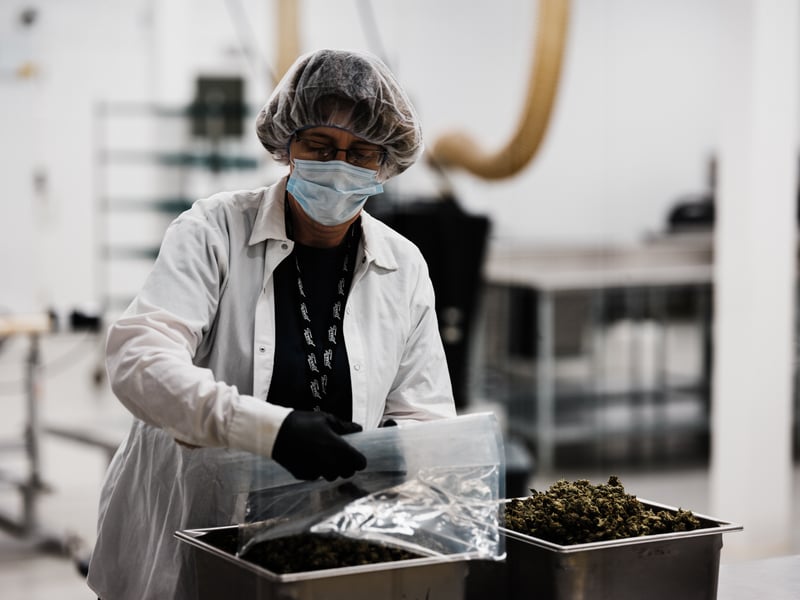 DSCF2360 Canopy Growth Donates $2.5 million to Cannabis for Opioid Addiction Research