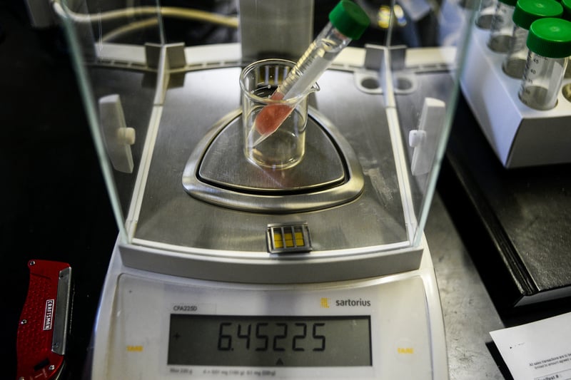 GettyImages 485282360 Without federal oversight, marijuana testing labs turn a blind eye to contamination