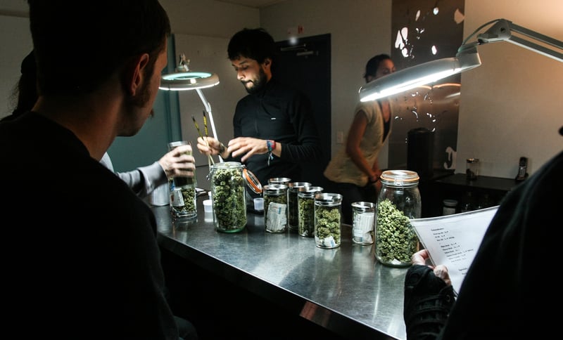 GettyImages 566069465 The United Nations just warned member states to keep recreational cannabis illegal