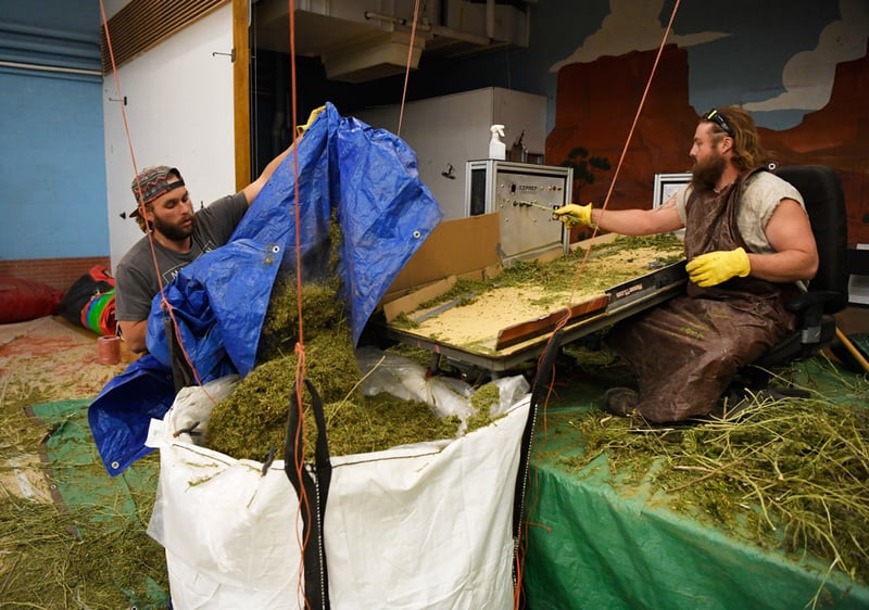 GettyImages 866829018 Could hemp plastic save our planet?