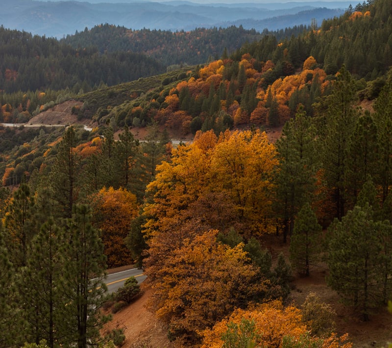 salmon mountains 2 of 4 Californias legal market leaves behind generations of family cannabis farms