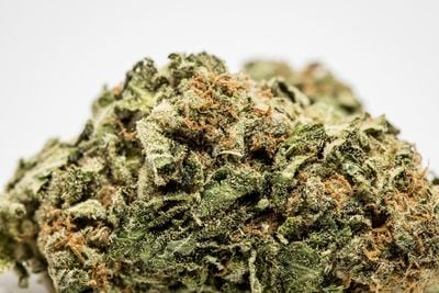 AMS Weed; AMS Cannabis Strain; AMS Indica Marijuana Strain AMS Weed; AMS Cannabis Strain; AMS Indica Marijuana Strain