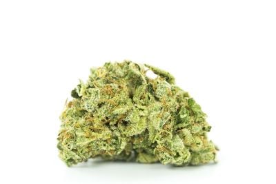 Alien Stardawg Weed; Alien Stardawg Cannabis Strain; Alien Stardawg Hybrid Cannabis Strain Alien Stardawg Weed; Alien Stardawg Cannabis Strain; Alien Stardawg Hybrid Cannabis Strain