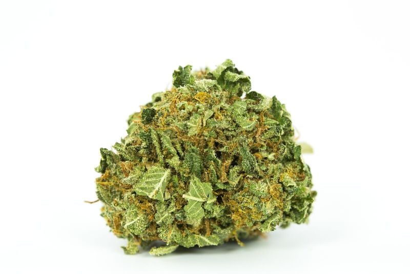 Face Off OG Marijuana Strain These are the best low odor strains for growing weed at home