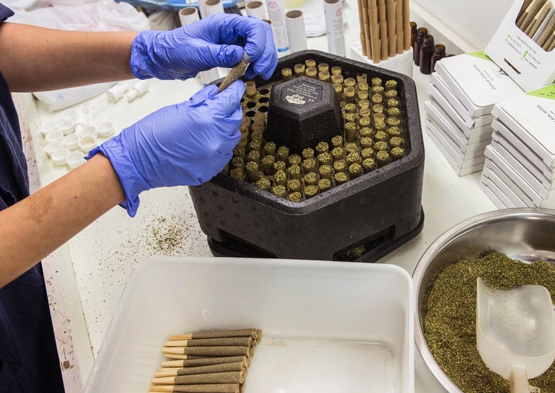 GettyImages 517697042 How to get paid to smoke weed all day, everyday