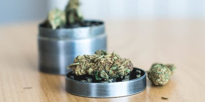 How To Pick A Good Weed Grinder How To Pick A Good Weed Grinder