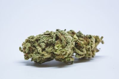 Hawaiian Punch Weed; Hawaiian Punch Cannabis Strain; Hawaiian Punch Sativa Marijuana Strain Hawaiian Punch Weed; Hawaiian Punch Cannabis Strain; Hawaiian Punch Sativa Marijuana Strain