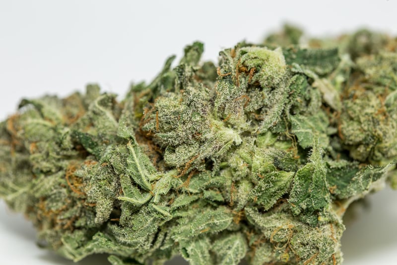 Green Crack Wedding 10 Best Strains to Serve at Your Weed Wedding