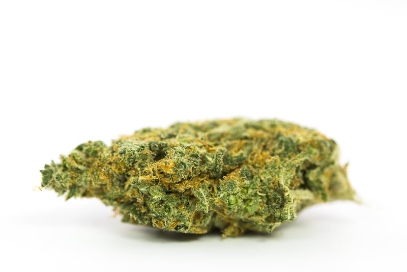 Harlequin1 10 Best Strains to Serve at Your Weed Wedding