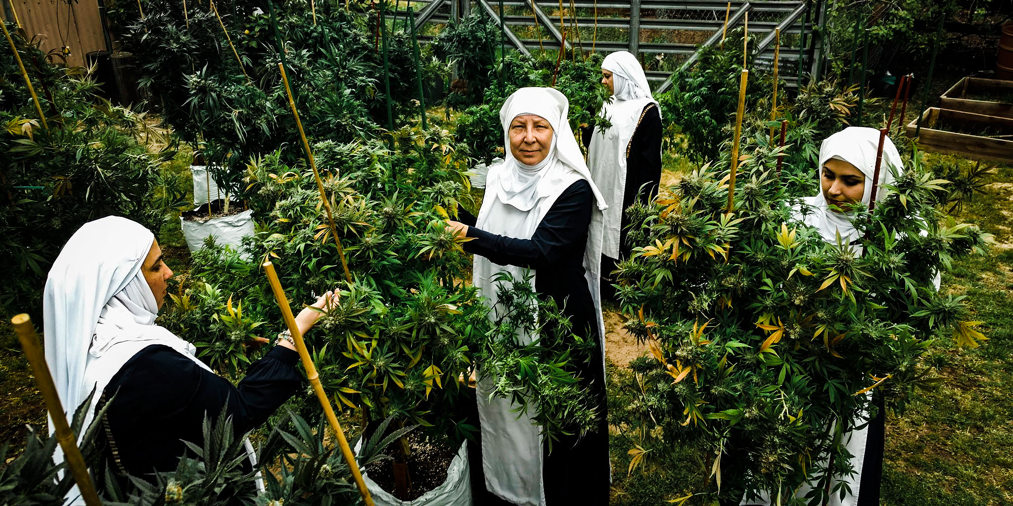 A Documentary Profiling Weed Growing Nuns Will Release This Fall