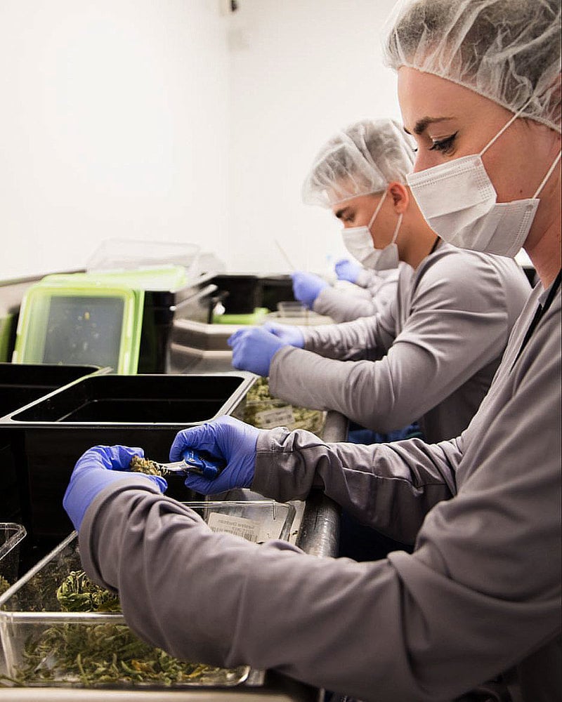 TheoryMACannabis Massachusetts pot shops to open on July 1. But there won’t be many of them.