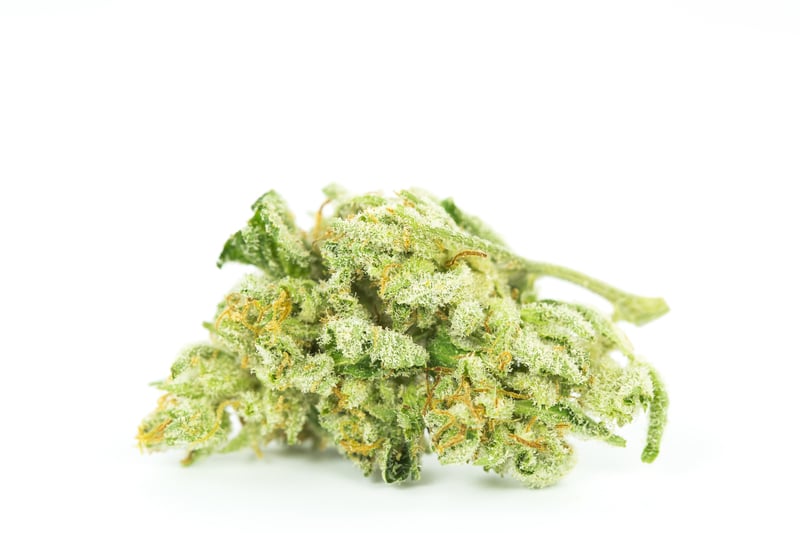 Wedding Cake 1 10 Best Strains to Serve at Your Weed Wedding