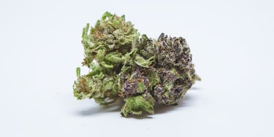 Which weed helps you sleep? 10 Best Bedtime Strains Which weed helps you sleep? 10 Best Bedtime Strains