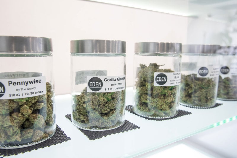 1What is a Cannabis Dispensary A Beginner%E2%80%99s Guide to Buying Weed Legally What is a Dispensary? How To Buy Weed Legally